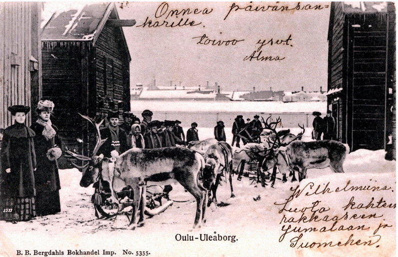 Porokyyti määränpäässä Oulussa. Tämä kortti on lähetetty neiti Wilhelmiinalle Liminkaan vuonna 1908. Porokyyti määränpäässä Oulussa. Tämä kortti on lähetetty neiti Wilhelmiinalle Liminkaan vuonna 1908.