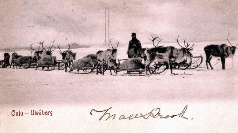 Porokyyti matkalla Ouluun. Tämä kortti on lähetetty miss Augustalle Pohjois-Amerikkaan vuonna 1902. Porokyyti matkalla Ouluun. Tämä kortti on lähetetty miss Augustalle Pohjois-Amerikkaan vuonna 1902.