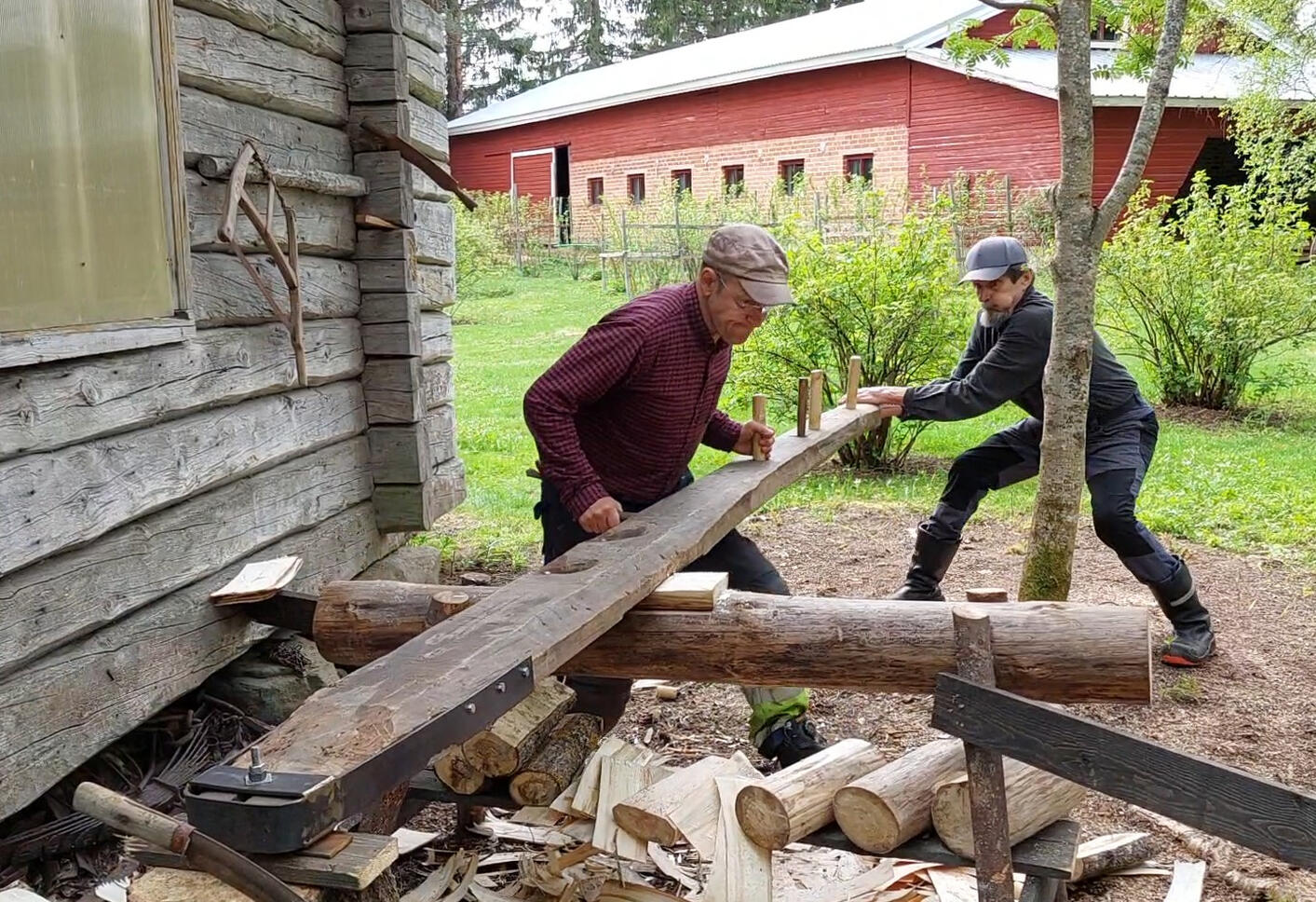 Pärehöylä